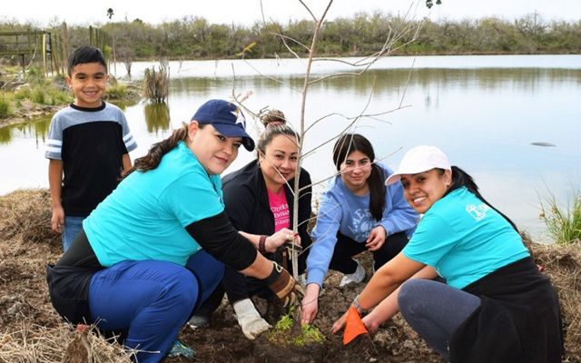 Un grupo de cuatro voluntarias plantan un joven ciprés de Moctezuma a lo largo de la orilla del Río Grande mientras un niño las observa en su trabajo.