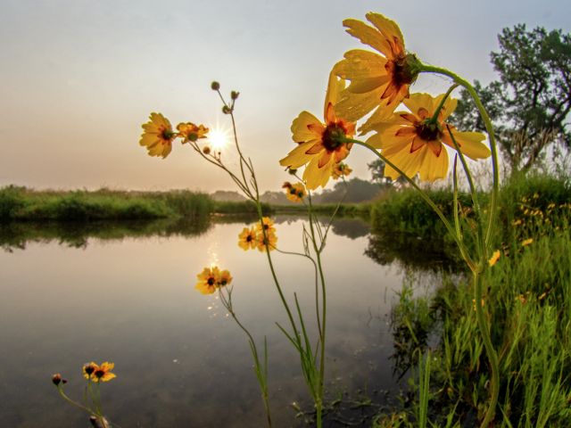 Beauty in Bloom