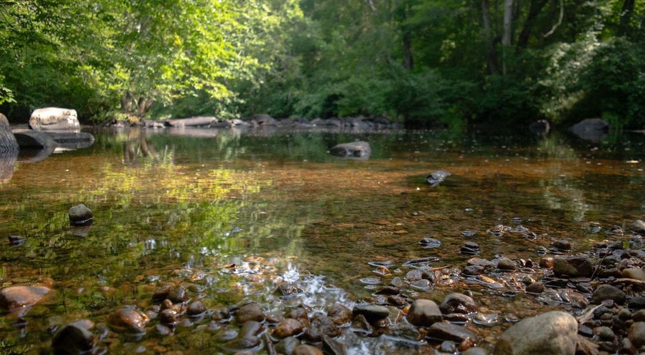 A shallow stream flows over a collection of brown rocks.