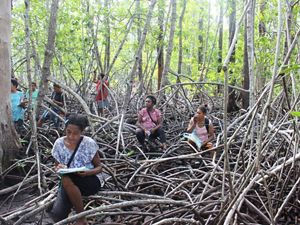 A group of women sit amongst mangrove roots.