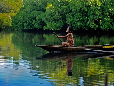 Land and sea intertwine in the tangle of twisted mangrove forest that encircles the islands of Micronesia. These rich resources have sustained Pohnpeians for centuries.