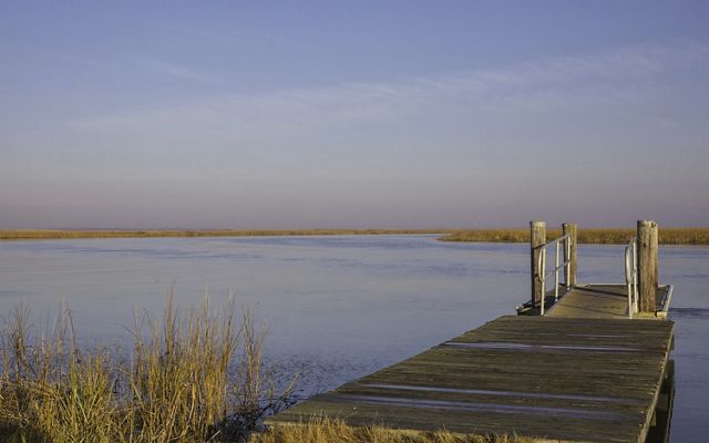 A short wooden dock extends from a marsh into a wide smooth river channel. The river curves away into the distance through tall marsh grass.