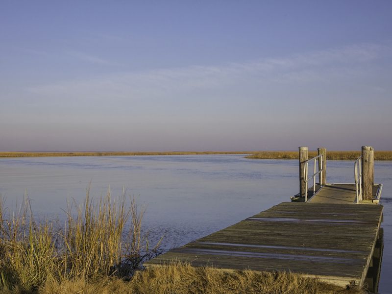 A short wooden dock extends from a marsh into a wide smooth river channel. The river curves away into the distance through tall marsh grass.