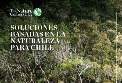Portada Documento SbN para Chile.