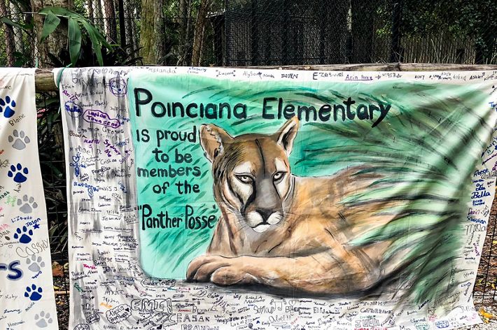 banner with image of a florida panther painted on it signed by elementary school students