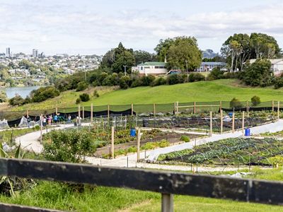 View looking across bright green grass at a large community garden.