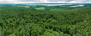 Panoramic, aerial view of unbroken forest with open farm fields and a narrow estuary visible in the distance.