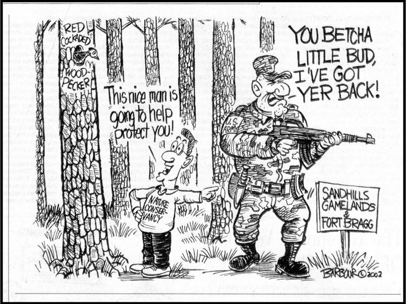 Cartoon representing the military's commitment to protecting Red-cockaded woodpeckers.