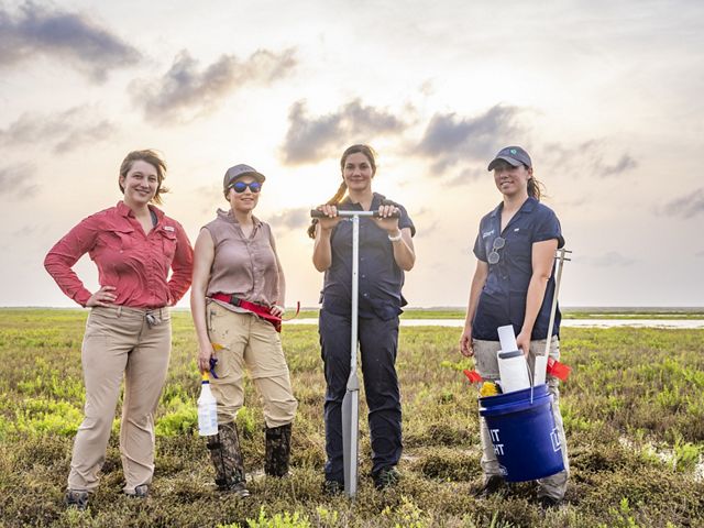 Four women stand in an expanse of green wetlands holding tools.