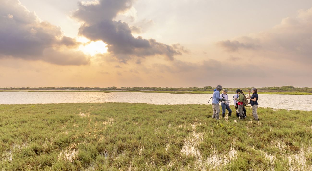 Five people stand together near an expanse of wetlands and water.