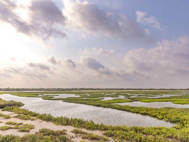 An expanse of green marsh, sandy beach, and blue coastal waters.