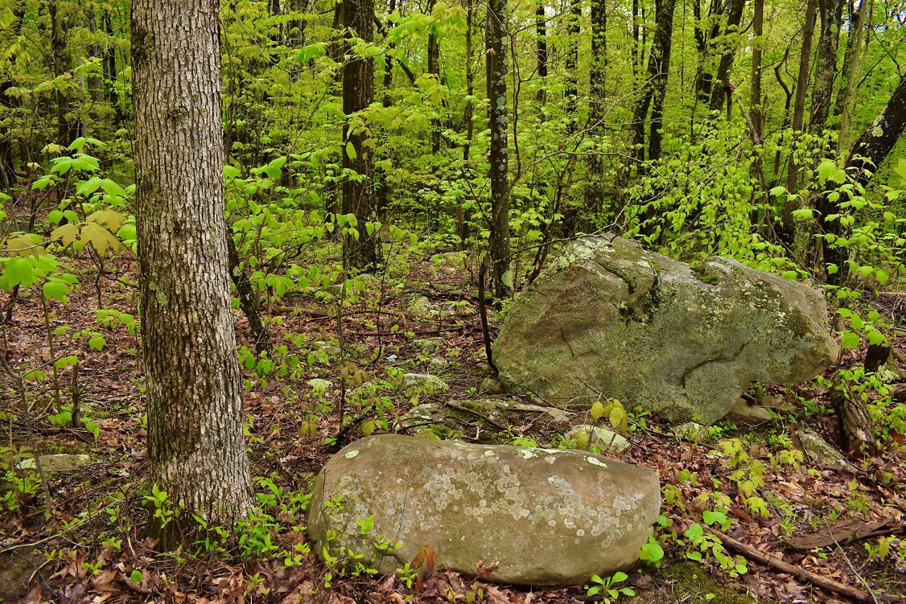 Potomac Highlands I The Nature Conservancy