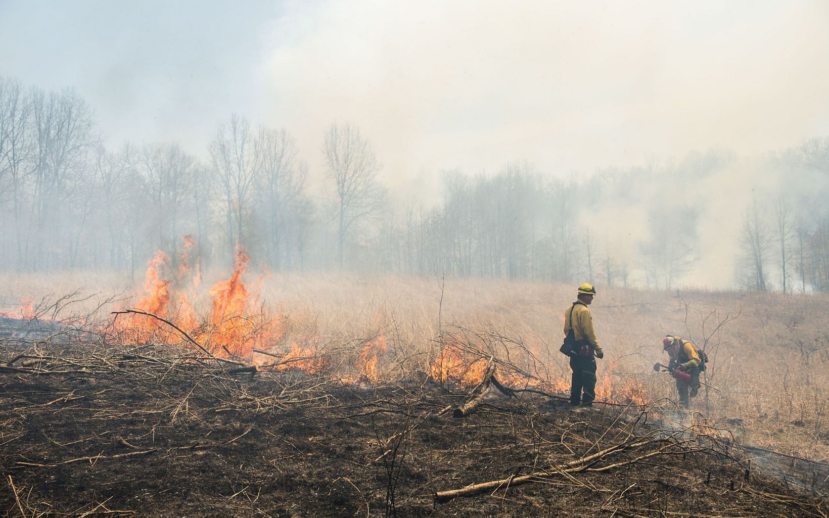 
                
                  Prescribed Fire The Nature Conservancy and its partners conduct a prescribed burn on a grassland preserve in Kentucky.
                  © Mike Wilkinson
                
              