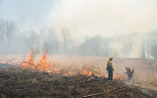 Smoke and fire dominate an open prairie, dominated by trees, where conservation professionals implement a burn.