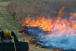 Prescribed fire burns a patch of grass at Nachusa.