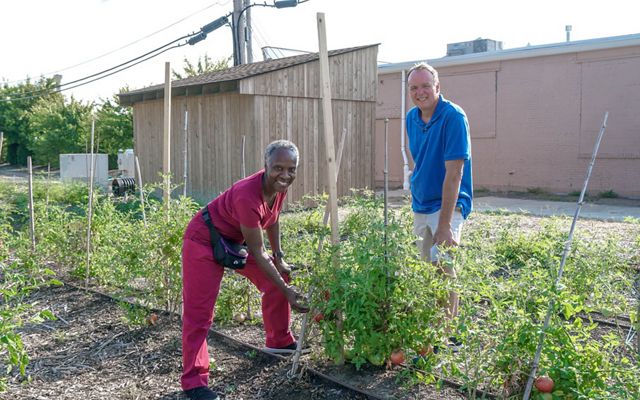 A man and a woman smile at the camera as they tend to tomato plants in an urban garden.