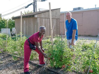 A man and a women stand in a growing garden.