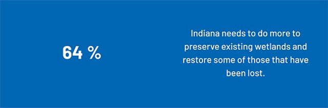 64 percent of Hoosiers want to see existing wetlands protected and lost ones restored.