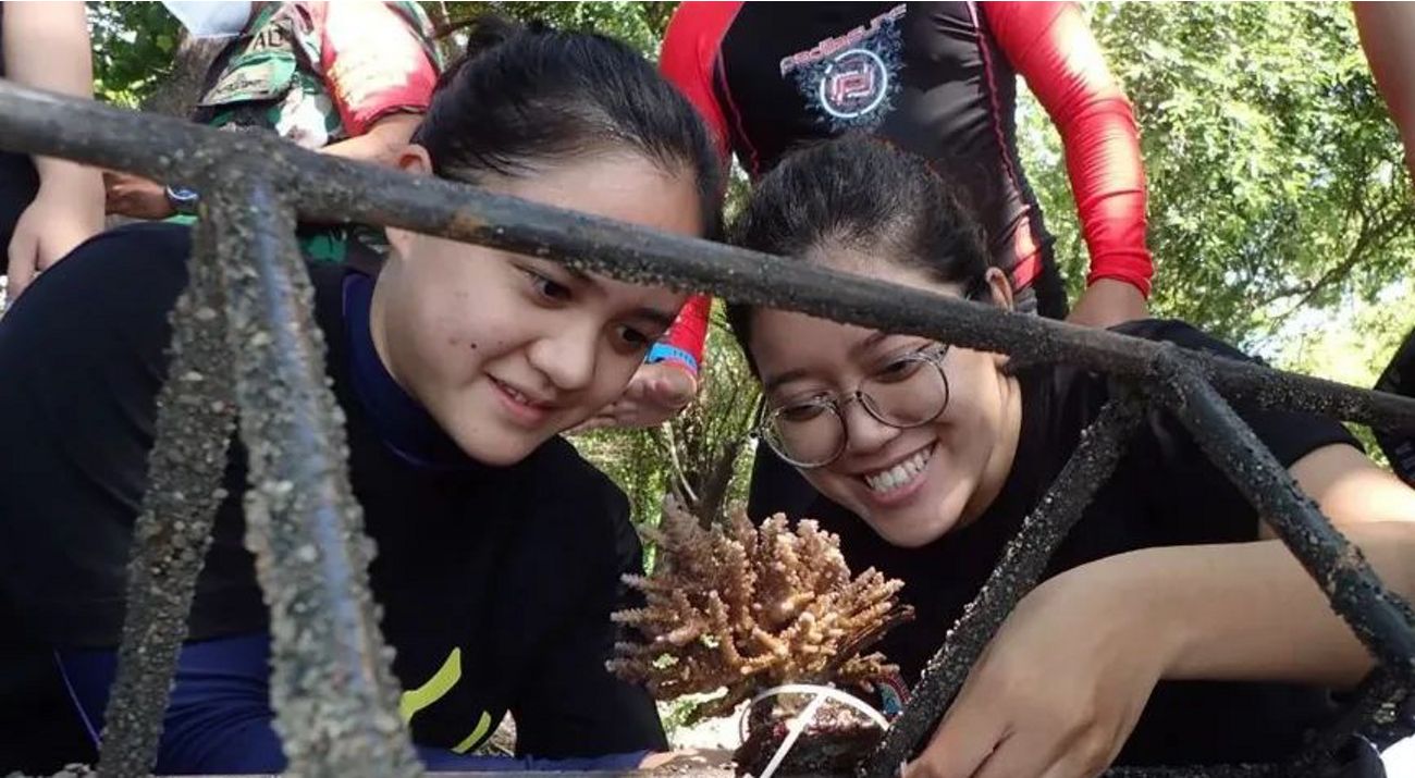 Two divers in wet suits mount a piece of coral to a regenerative structure.
