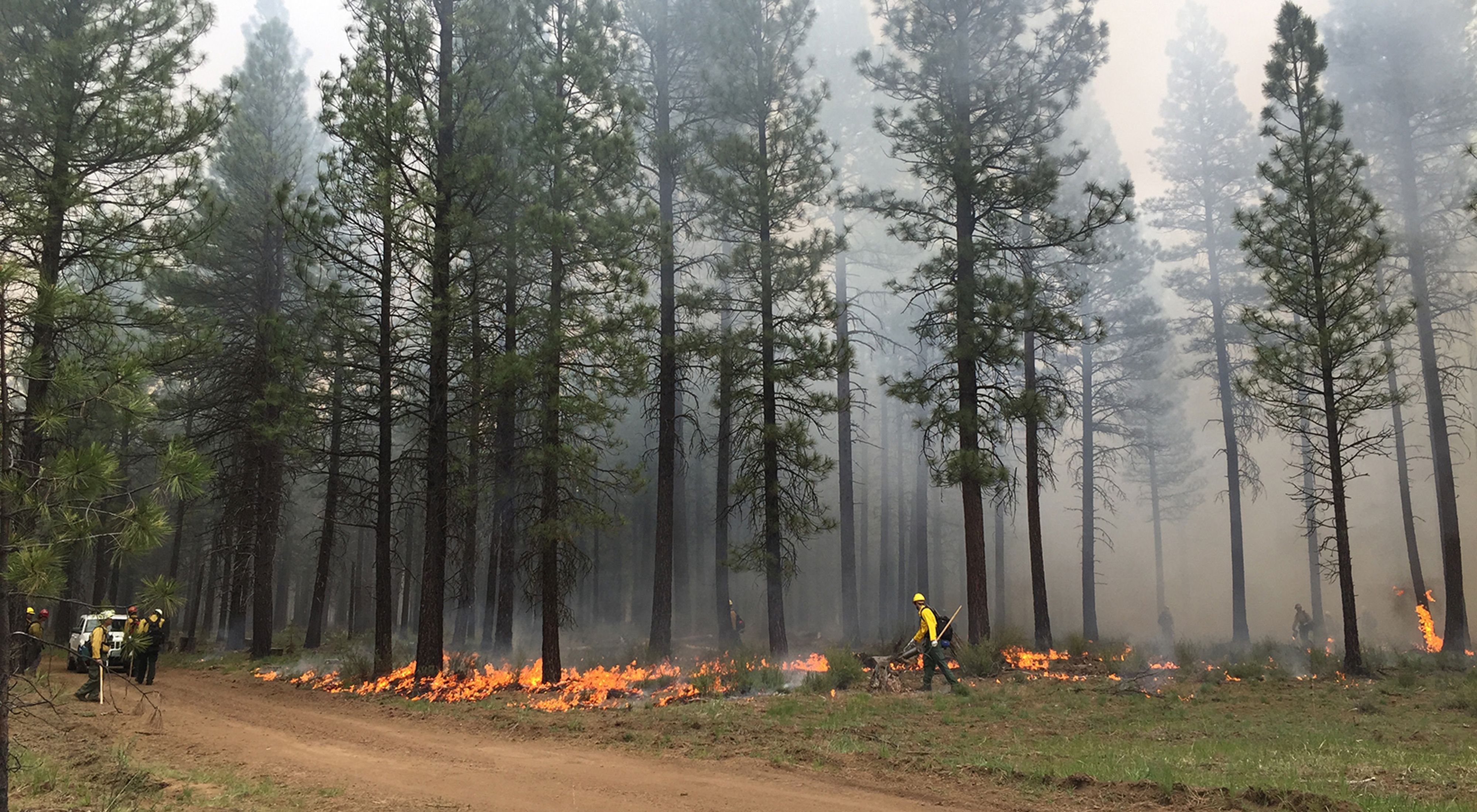 Planned fires pave the way for safer communities and fire-adapted ecosystems restored to a healthier, more resilient condition.