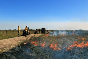 Six fire practioners from the Texas Chapter conduct a prescribed burn on coastal prairie at Mad Island Marsh Preserve.