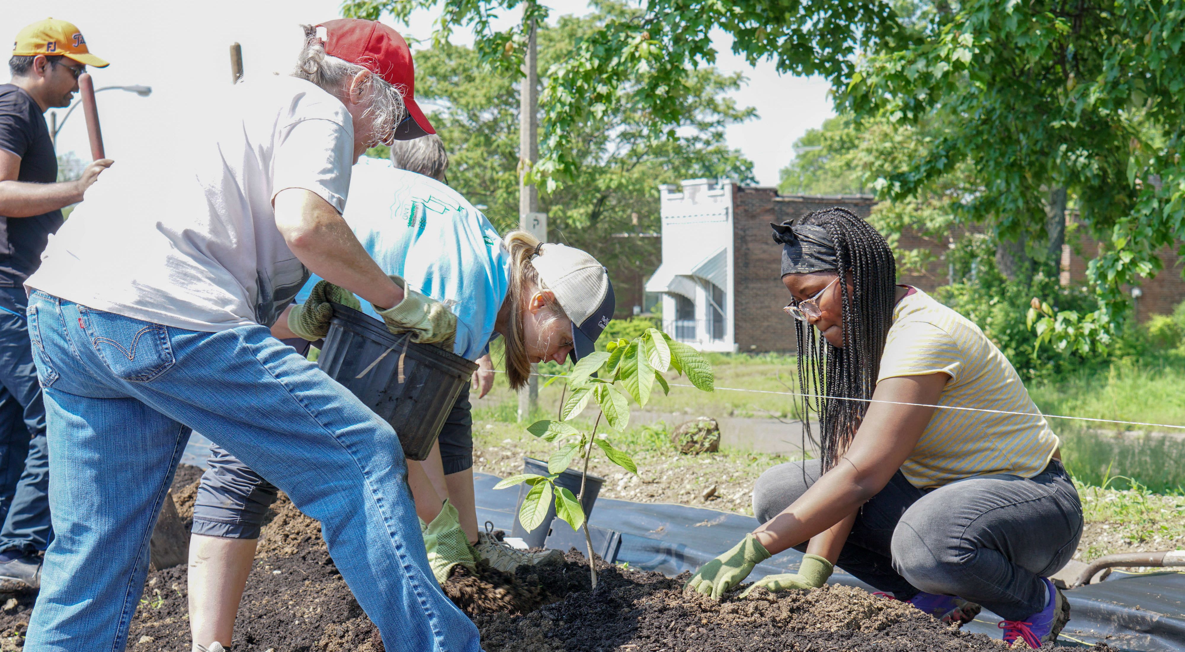 Small group of people planting trees in an urban garden.