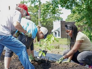 Three volunteers plant a tree in an urban setting.