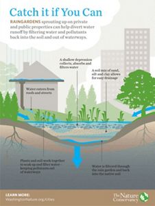 Raingardens