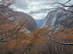 Una vista espectacular de dos acantilados de granito uno al lado del otro con árboles de hojas anaranjadas en primer plano.