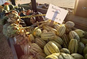 A farmer's market display of melons and artichokes.