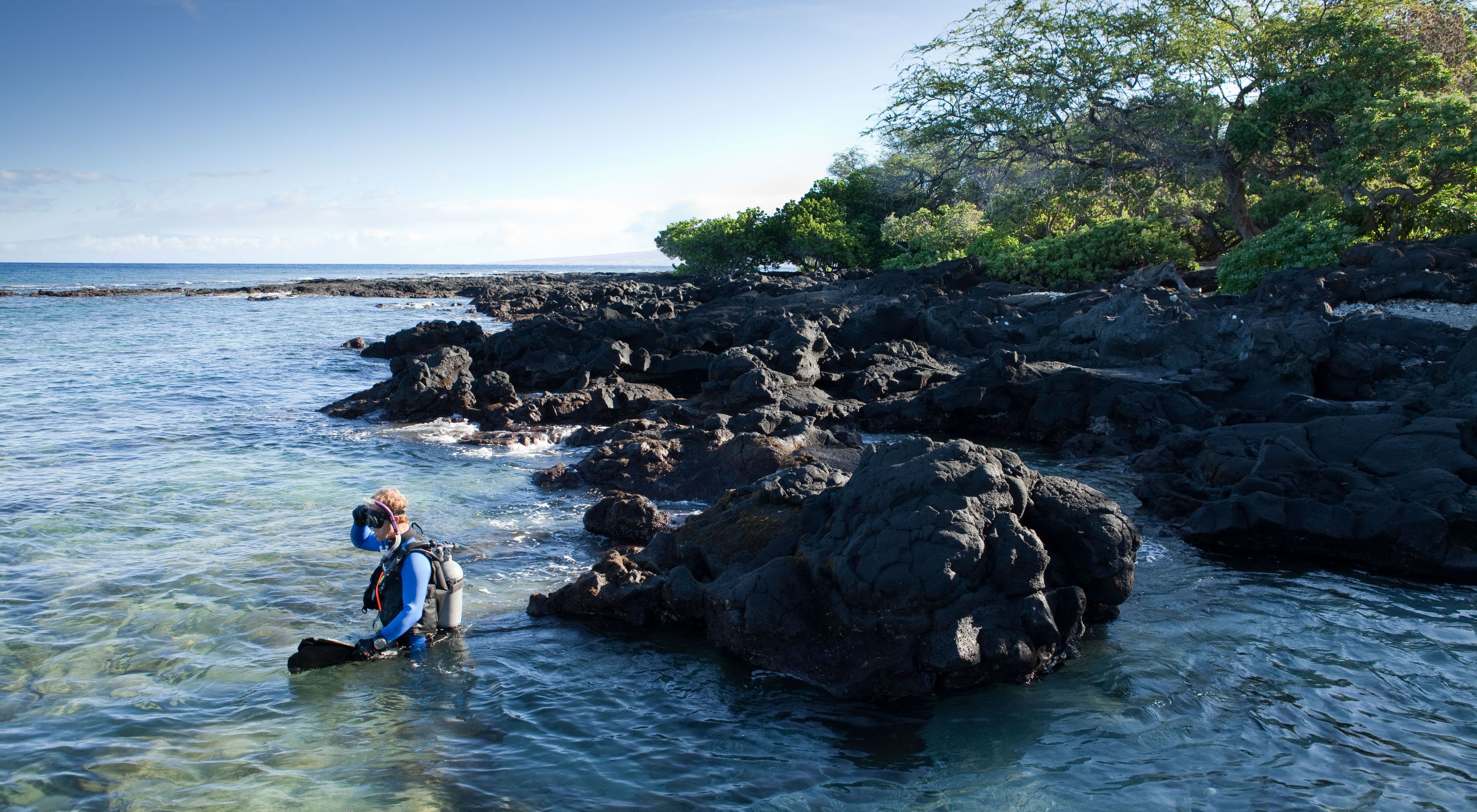 A diver entering the water from a rocky shore.