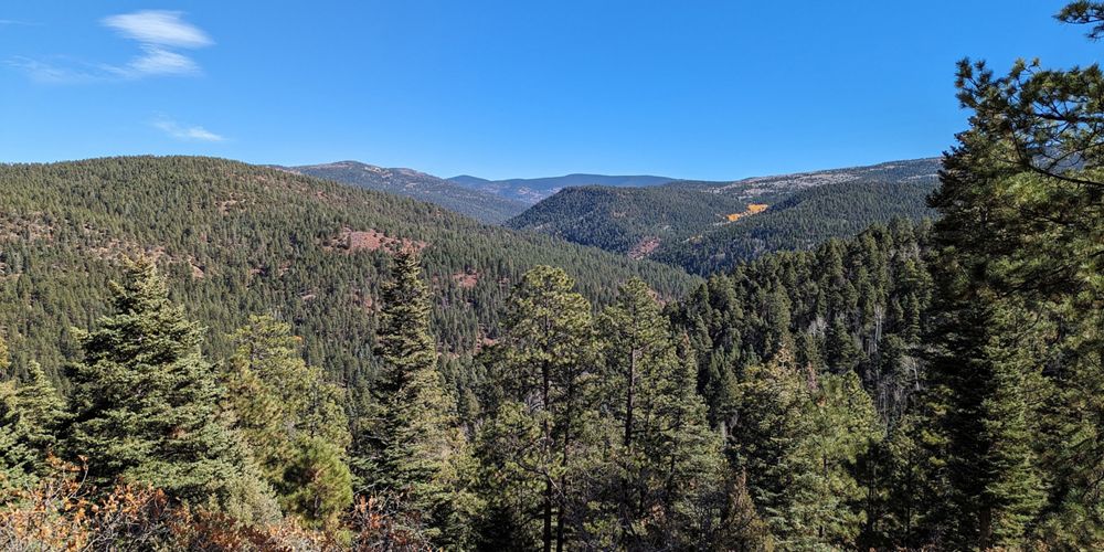 View looking across a vast forested mountain range.