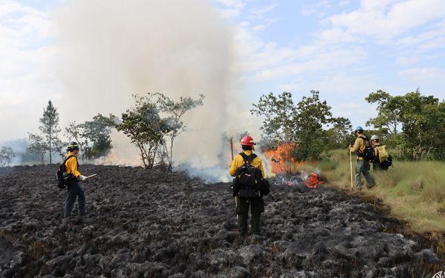 Several people in yellow fire gear stand in a burnt field with smoke in the distance. 