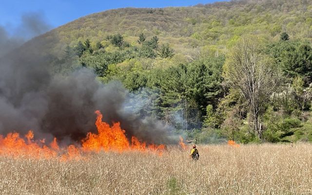 A fire burns in a grass field as a person in yellow fire gear monitors the flames. 