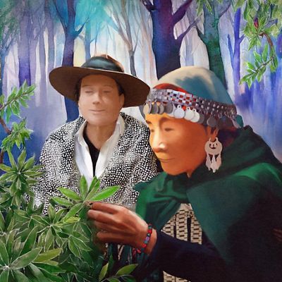 Ilustración muestra a hombre y mujer mapuche, en un bosque, revisando las hojas de una planta. 