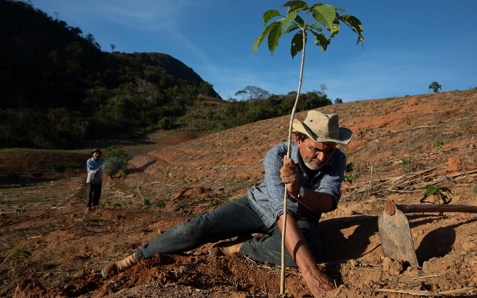 Adolfo Littiga planting a native tree on the farm he also grew up on. Adolfo develops agroforestry systems as part of the Reflorestar program.