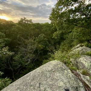 A granite outcrop in the foreground peaks out over a green oak canopy.