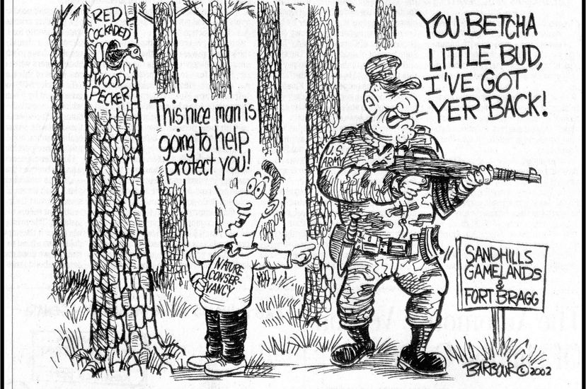 Cartoon representing the military's commitment to protecting Red-cockaded woodpeckers.