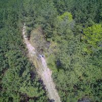 An aerial photo of a a forest with a dirt path in the center.