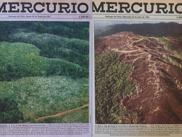 Portadas de El Mercurio con la tala y deforestación de la zona