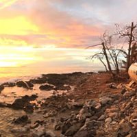 A post-hurricane eroded shoreline against a sunset