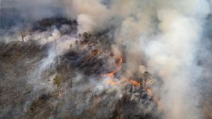 An aerial photograph depicts a prescribed burn taking place in a forest.