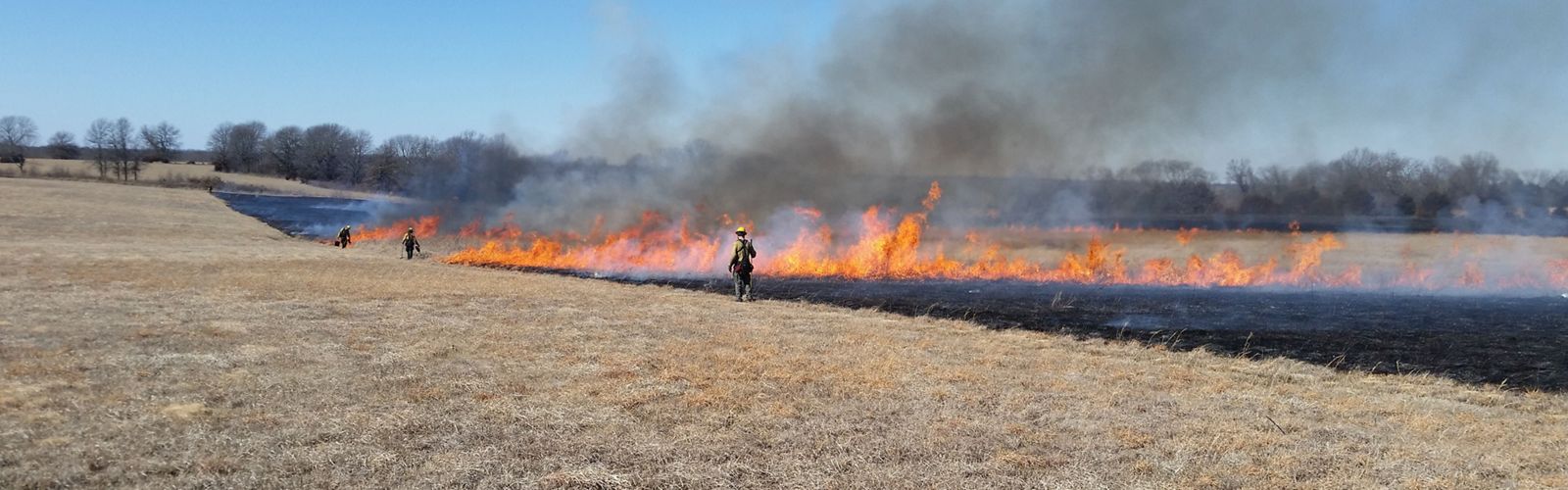 Long line of fire moving across a prairie field with firefighters watching.