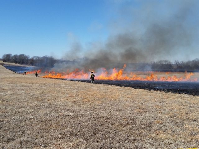 Staff conducting a controlled burn on Goodnight-Henry preserve.
