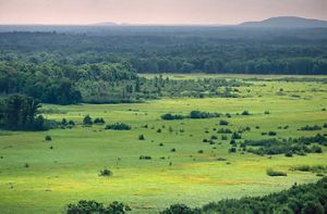A green grassland dotted by trees stretches to the horizon with a hill silhouetted in the background. 