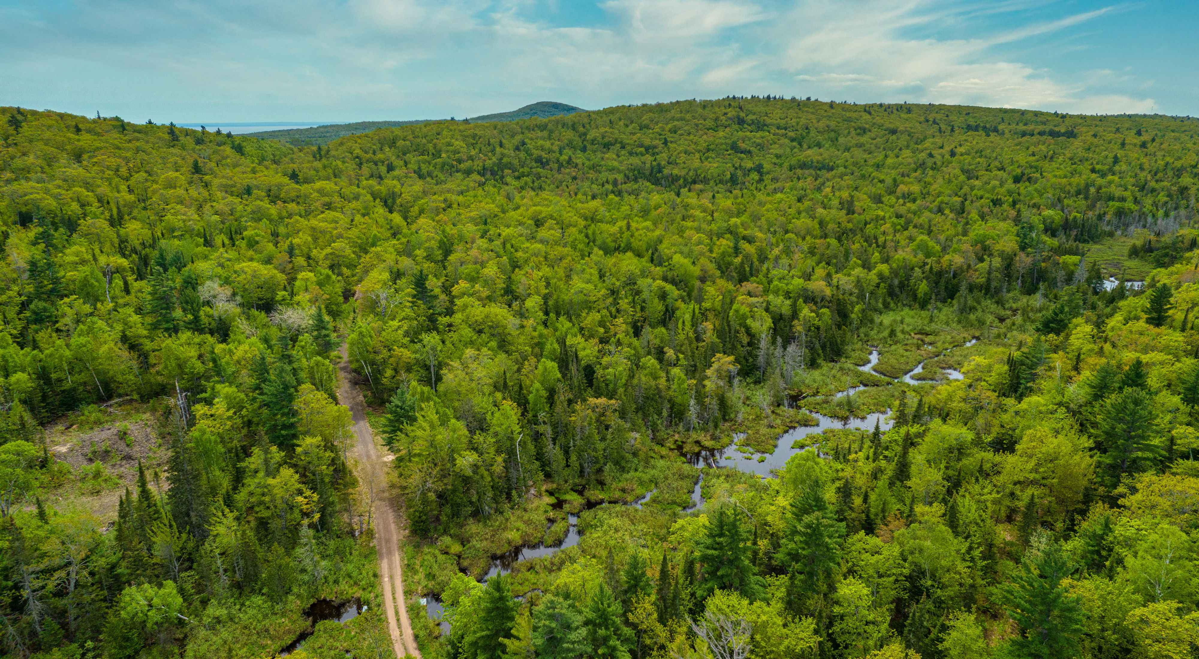 Aerial view of a forest of trees in the Keweenaw with a winding river and dirt road. 