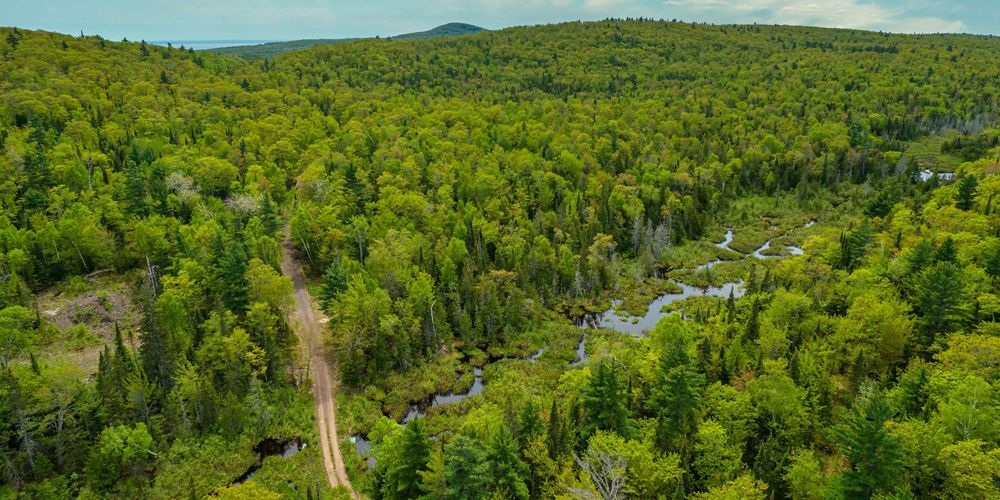 A river winds through a lush green forest in the recently acquired lands in the Keweenaw Peninsula.