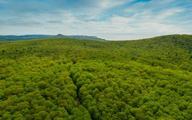 Aerial view of a rolling green forest in Michigan's Keweenaw Peninsula. 