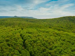 Aerial view of a rolling green forest in Michigan's Keweenaw Peninsula.