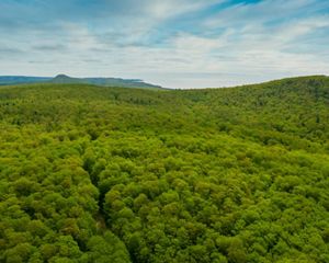 Aerial view of a rolling green forest in Michigan's Keweenaw Peninsula.